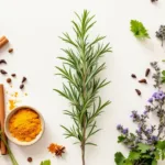Come Usare Erbe e Spezie per Arricchire il Tuo Cibo Sano Una Guida Completa Introduzione In un mondo sempre piu attento alla salute e al benessere la ricerca 1